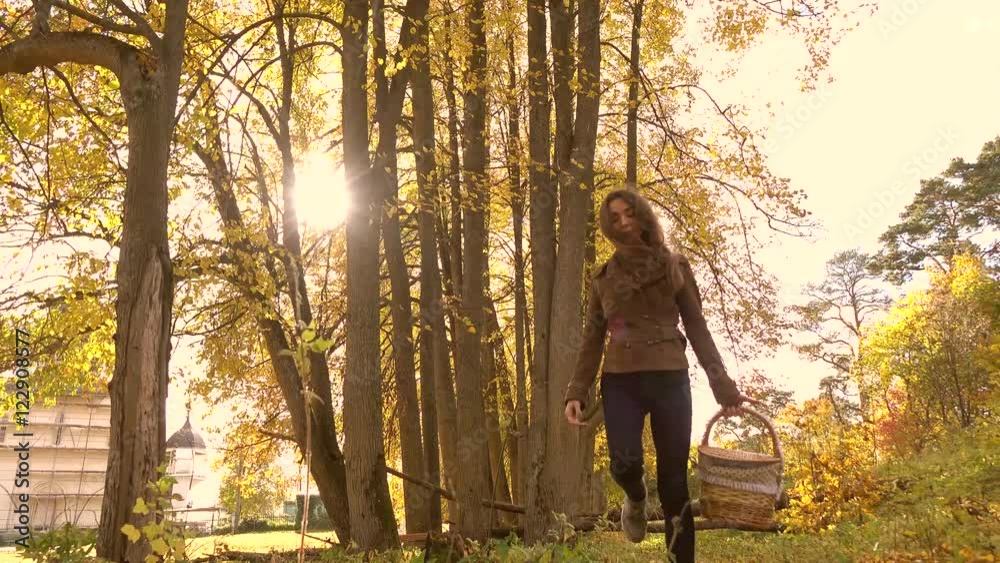 Brunette girl walking in autumn forest holding a basket. 4K steadicam clip Brunette girl walking in autumn forest holding a basket. 4K steadicam clip
