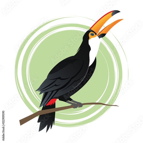 Tuncan cartoon icon. Bird animal nature and specie theme. Colorful design. Vector illustration