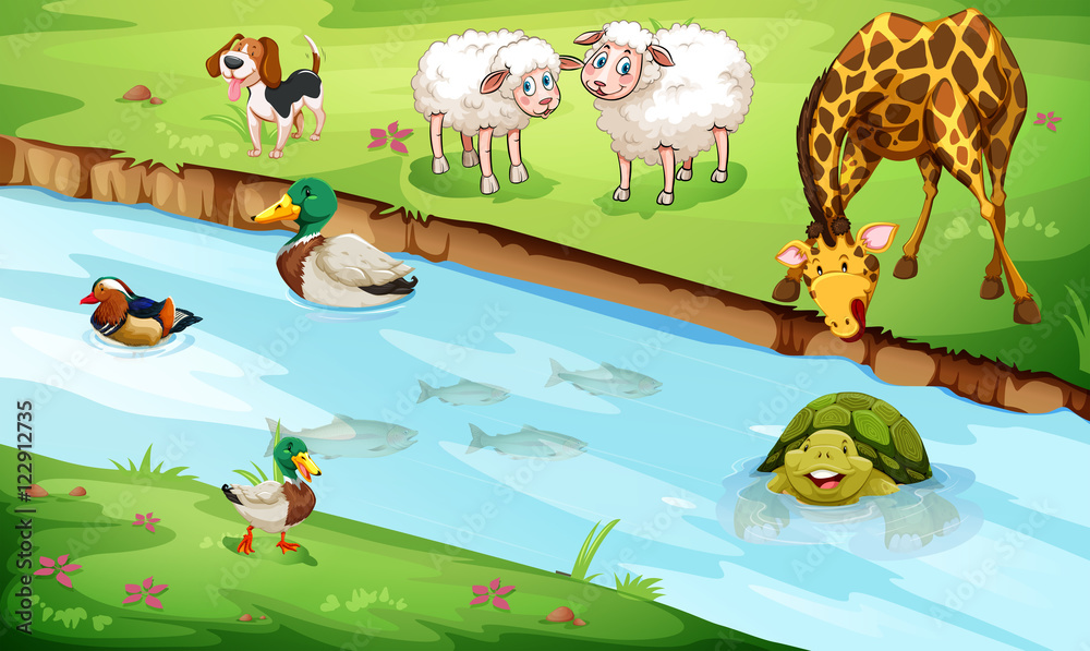 Obraz premium Many wildlife living by the river