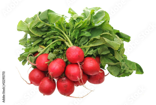 organic radish