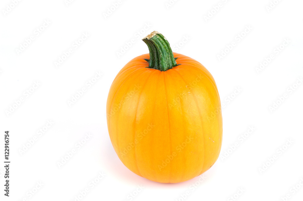 new picked pumpkin isolated on white background new picked pumpkin isolated on white background