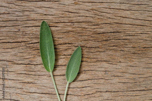 Fresh sage leaf on rustic wooden background. Sage Benefits Anti-
