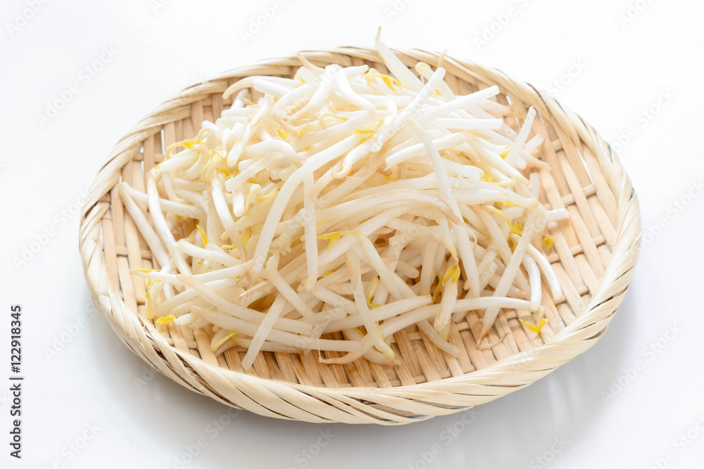 もやし もやし