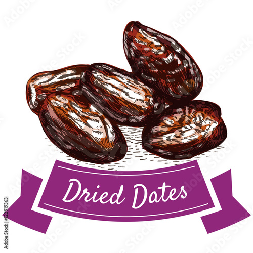 Dried dates colorful illustration.