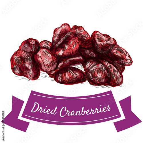 Dried cranberries colorful illustration.