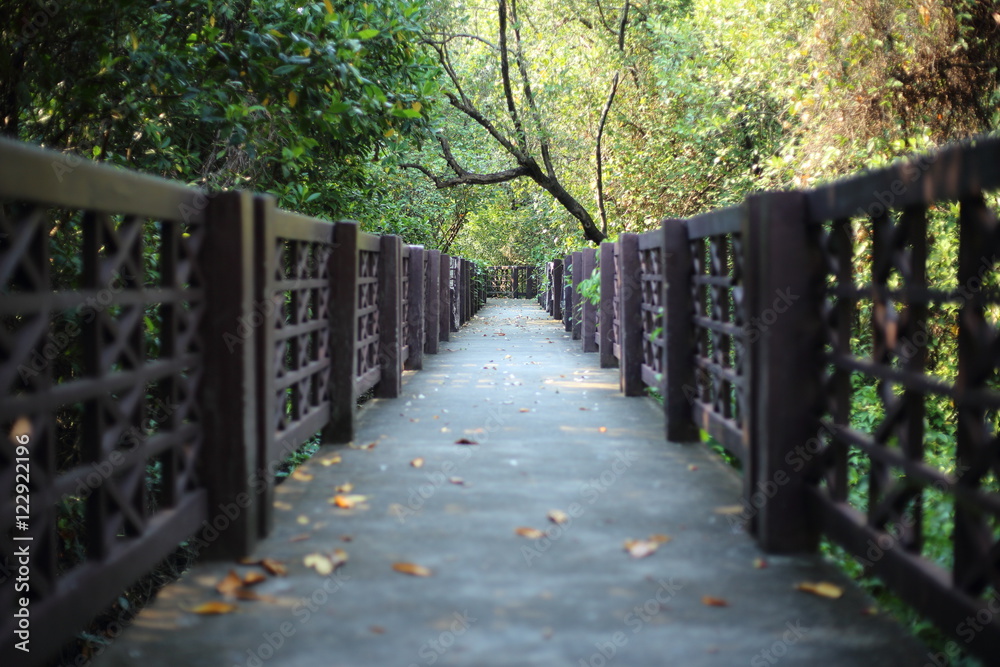 Walkway of mangrove forest in Rayong at Thailand Walkway of mangrove forest in Rayong at Thailand