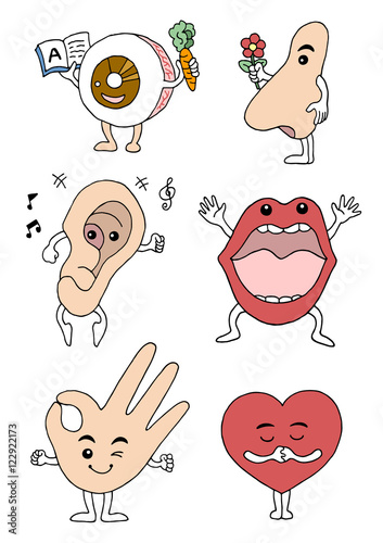 set of senses and sensation sense organ vector hand drawn illustration design