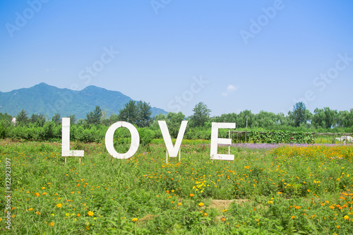 LOVE in Field in Valentine's Day