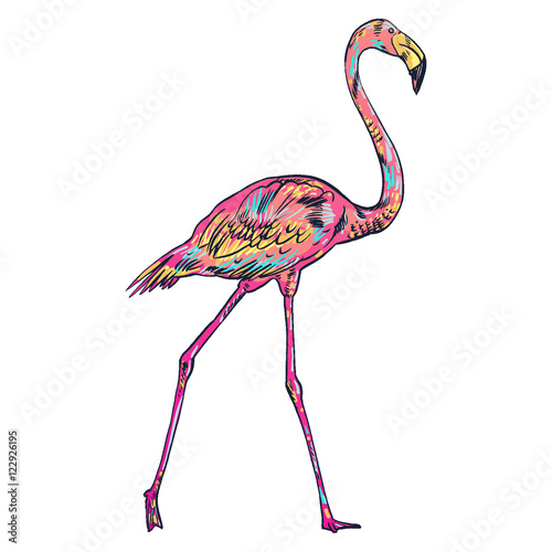 Pink flamingo vector illustration isolated