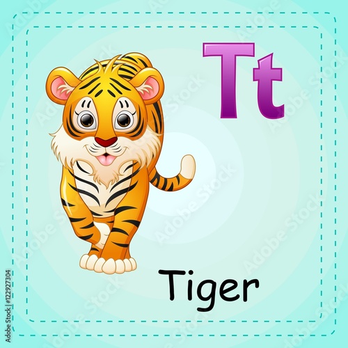 Fototapeta Naklejka Na Ścianę i Meble -  Animals alphabet: T is for Tiger