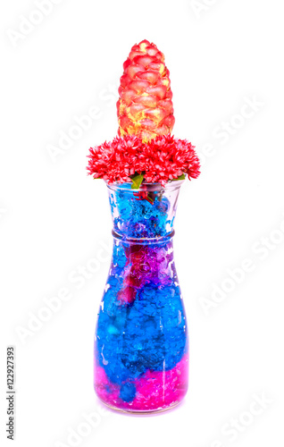 Obraz na płótnie Beautiful flowers in glass bottle with hydrogel isolated on whit w salonie