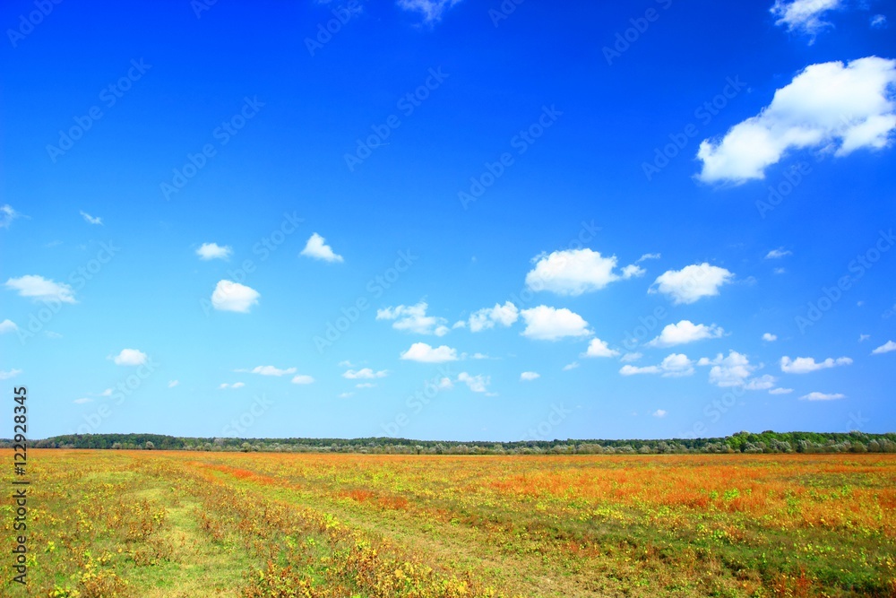 Beautiful landscape in fall Beautiful landscape in fall