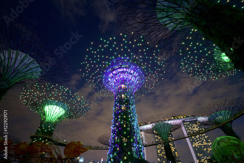 SINGAPORE - AUGUST 25, 2016 Purple and green supertrees grove in the night show