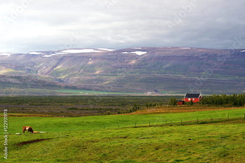 Farm near Husavik in northern Iceland