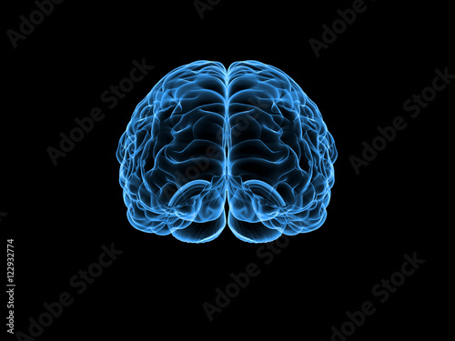 X-ray human brain, 3d illustration