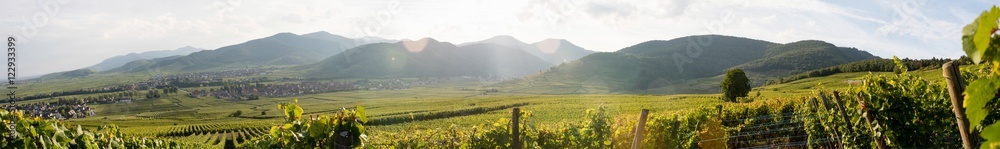 Vignoble d'Alsace et collines sous-vosgienne
