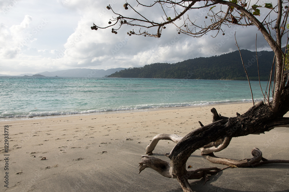 Fototapeta premium beach nature white sand, seawater Sai Beach Koh LIPE in Thaila