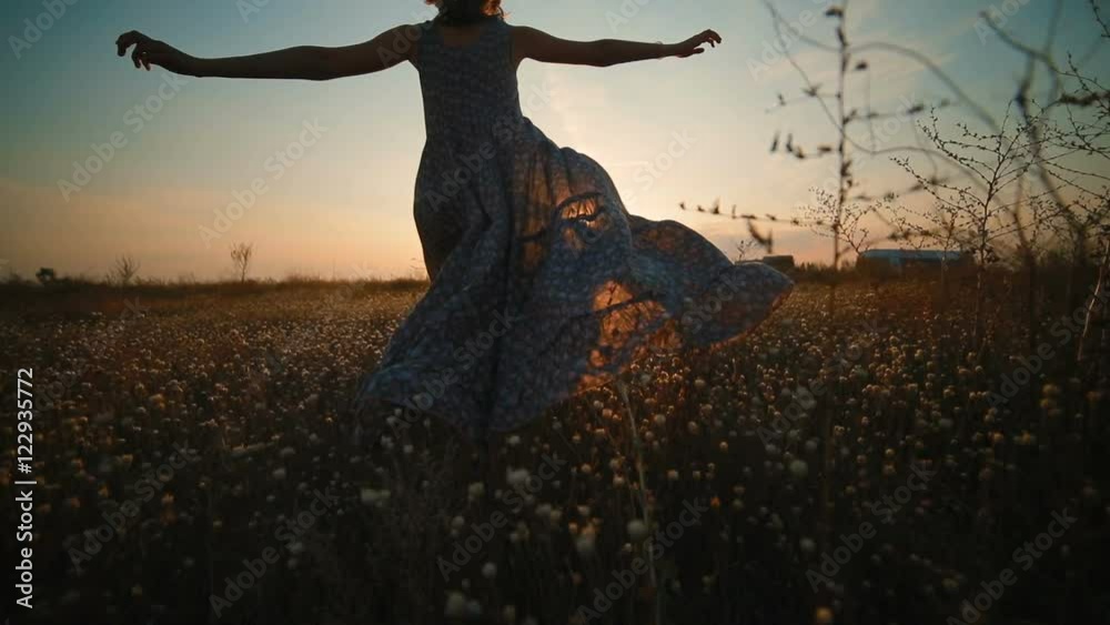 A girl in a long dress is on the field at sunset Stock Video | Adobe Stock