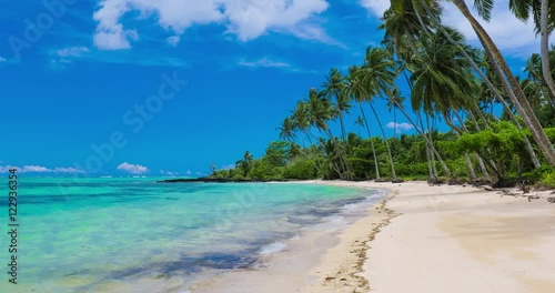 Tropical beach on Samoa Island with palm trees.