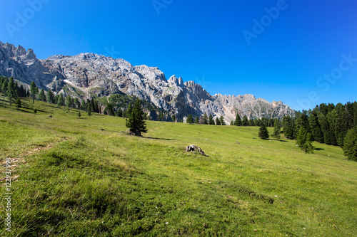 Beautiful green meadows with Latemar mountains group ( Latemargruppe), under a sunny blue sky Trentino Alto adige, Italy