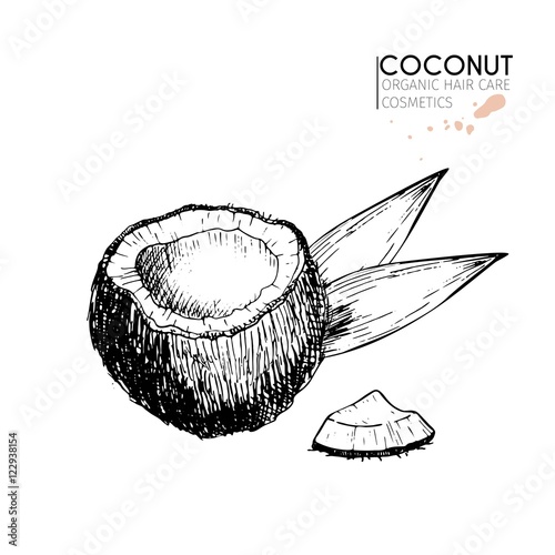 Vector set of hair care ingredients. Organic hand drawn elements. Coconut, slices and leaves.