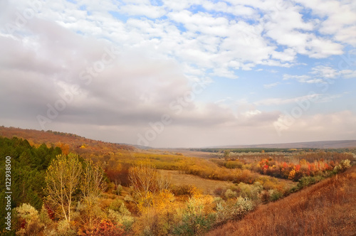 view of the autumn valley, rolling hills, golden trees in the gentle sunlight. Beautiful sky with gentle clouds and haze. 