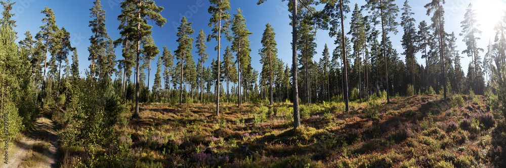 Panoramablick in Västergötland, Schweden Panoramablick in Västergötland, Schweden