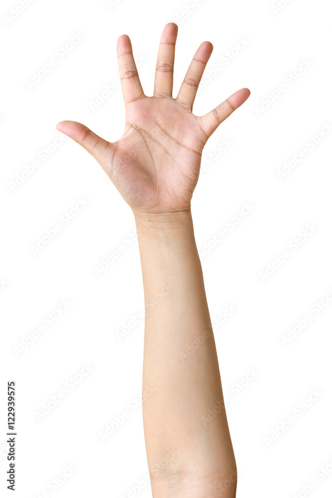 Woman hand showing the five fingers Woman hand showing the five fingers