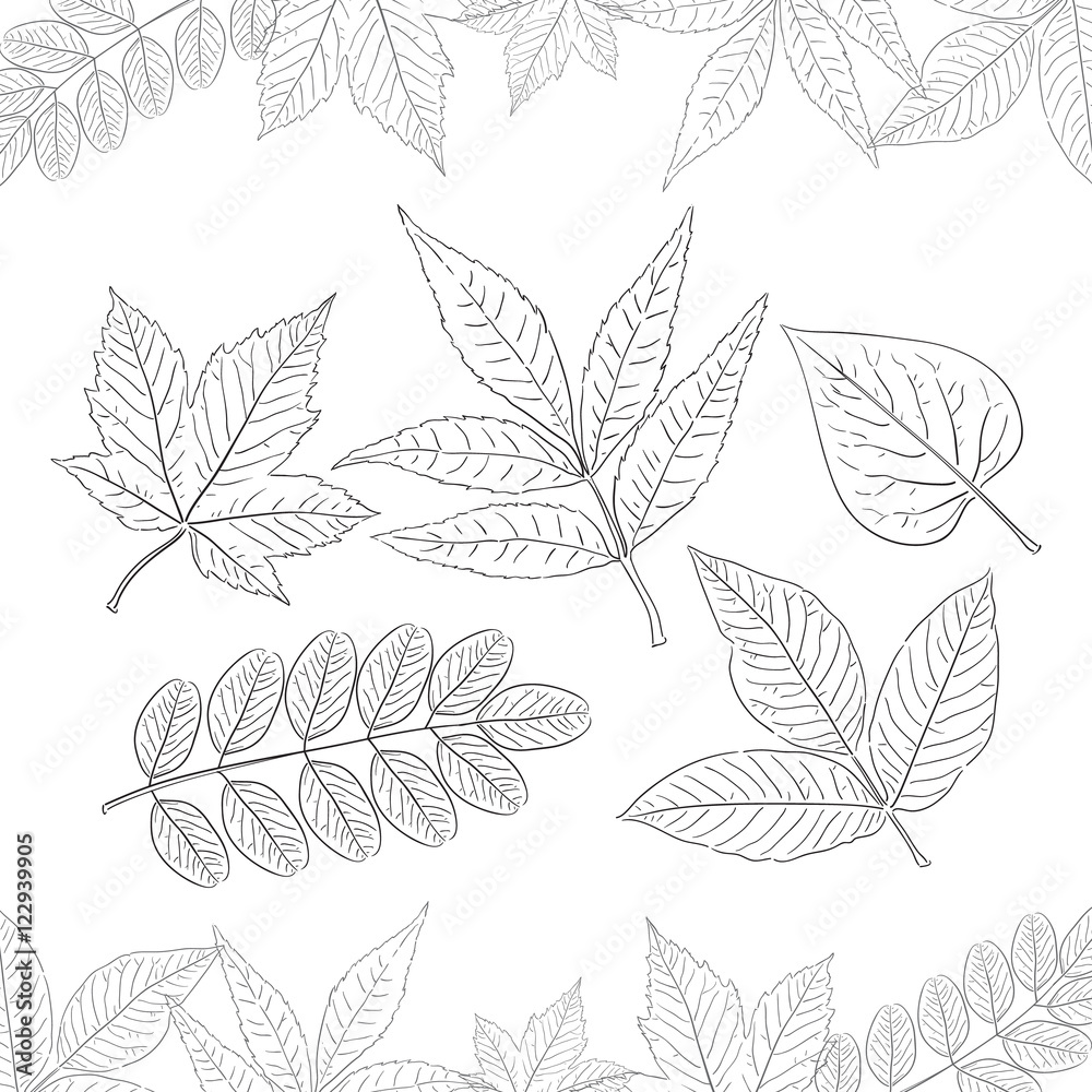 Vector illustration: Set of hand-drawn leaves isolated on white background. Decoration for Autumn design. Sketch line style.