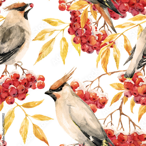 Watercolor waxwing and rowan pattern