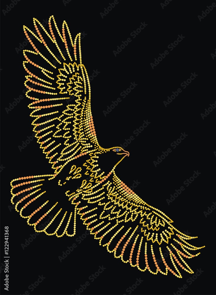 Obraz premium Flying eagle from circles