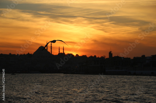 Canvas Print istanbul - turkey