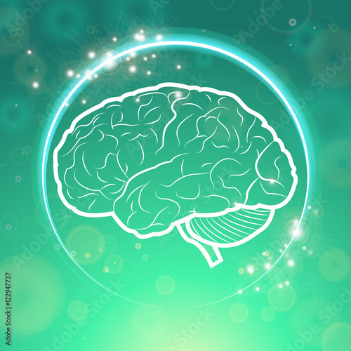 Human Brain Neurology Anatomical Conception Vector Illustration