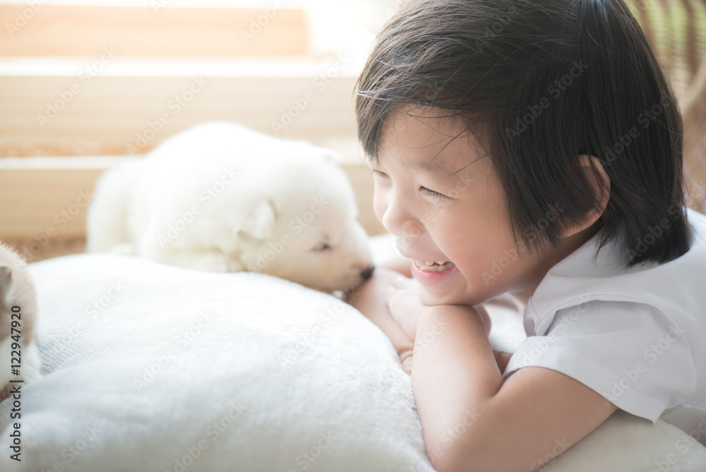 asian child playing with siberian husky puppy asian child playing with siberian husky puppy
