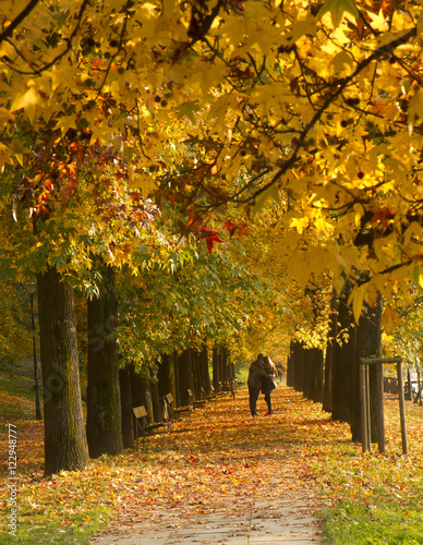 Colorful leaves in autumn in Valentino's Park in Turin Italy