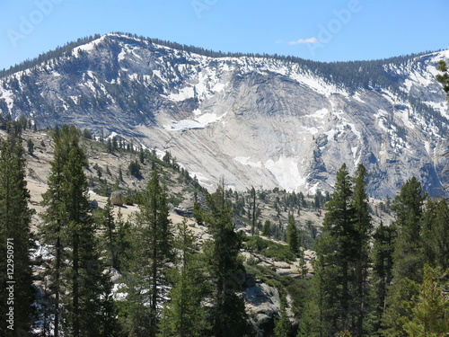  Tioga pass, Olmsted Point, Yosemite, USA 