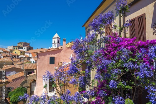Church and flower in Capoliveri village,, Elba island, Tuscany, Italy, Europe.