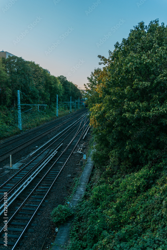 Obraz premium Train Tracks Through Green Forest in Evening
