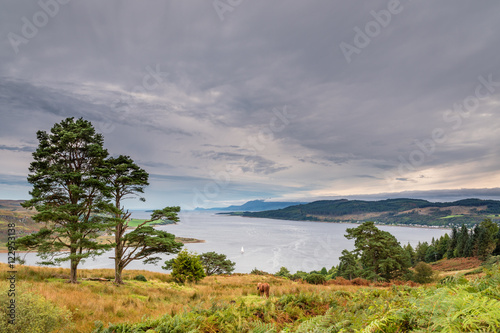 Western Kyle of Bute, in the Kyles of Bute, also known as Argyll's Secret Coast, in the Firth of Clyde seen here from north of villages Kames and Tighnabruaich, to the right photo