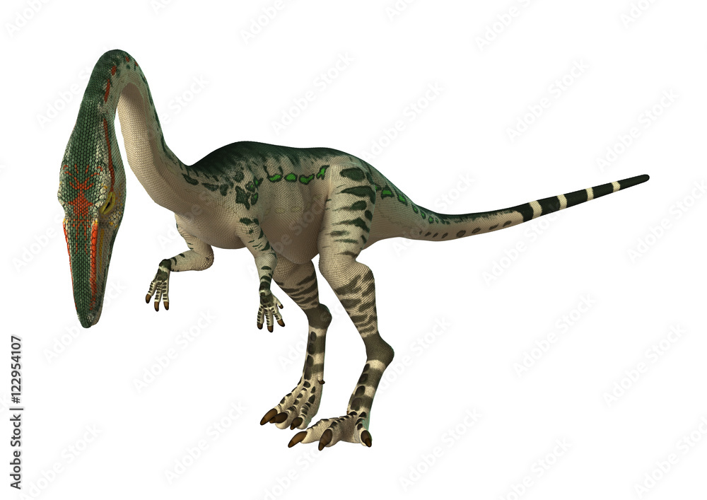 Fototapeta premium 3D Rendering Dinosaur Coelophysis on White