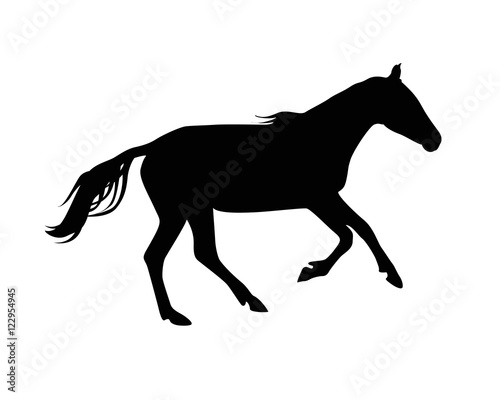 Silhouette of horse. Black on white