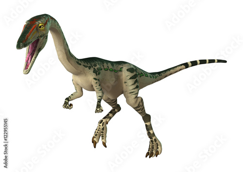 3D Rendering Dinosaur Coelophysis on White photo