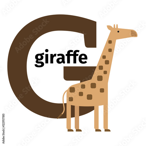 English animals zoo alphabet with letter G. Giraffe vector illustration