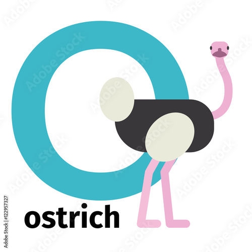 English animals zoo alphabet with letter O. Ostrich vector illustration