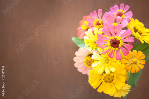 colorful flower on dark brown wood background, top view