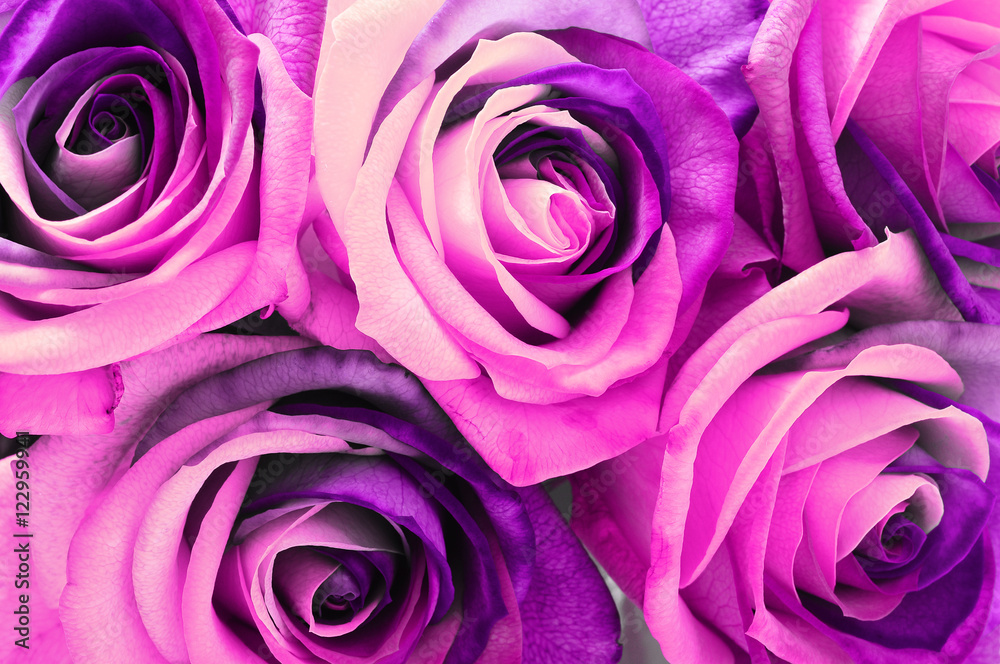 Pink rose bouquet Pink rose bouquet
