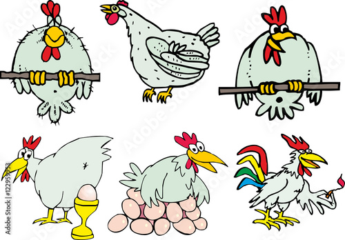 Set of funny hen birds and roosters
