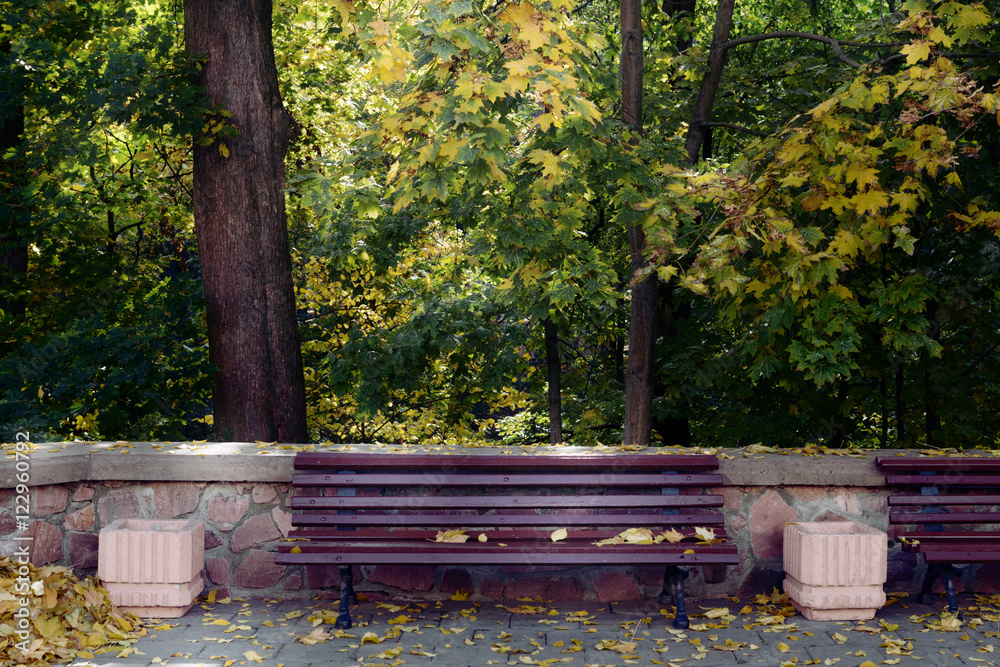 Beautiful romantic alley in a park with colorful trees, autumn landscape Beautiful romantic alley in a park with colorful trees, autumn landscape