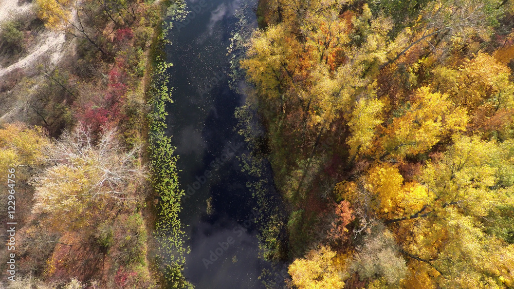 flight over the autumn forest flight over the autumn forest