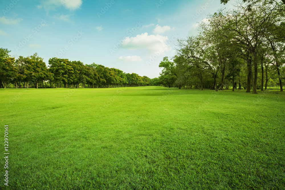 green grass field in public park
